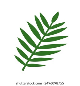 simple flat vector of the long green frond leaf on a white background