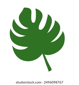 simple flat vector of the long green frond leaf on a white background