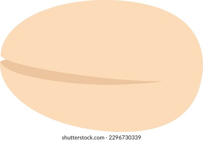 Simple flat vector single pistachio