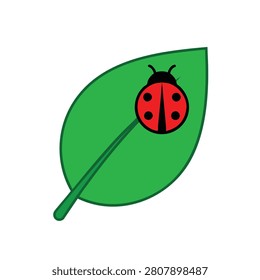 A simple flat vector style illustration featuring a bright red ladybug with black spots resting on a large green leaf against a white background