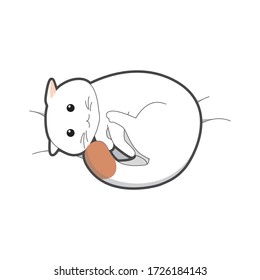 Simple flat white cute cat cartoon character vector illustration with white background. sleeping in a circle. brown tail.