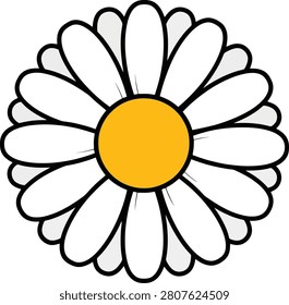 Simple Flat White Daisy Flower Head With Yellow Center Isolated on a Clean Minimalist Plain White Background
