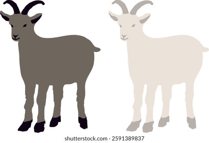 Simple and flat white goat black goat illustration