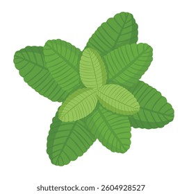 Simple flat-style mint leaves icon with layered green leaves and soft veins, designed to evoke a fresh, cool, and organic atmosphere.
