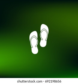 Simple flip flops icon