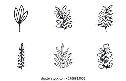 Simple floral background in black and white.