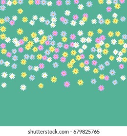 Simple Floral Background. Chaotically Scattered Daisy Flowers. Random Ditsy Backdrop for Postcard