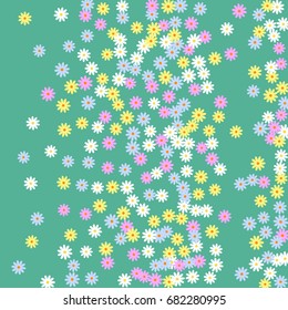 Simple Floral Background. Chaotically Scattered Daisy Flowers. Random Ditsy Backdrop for Postcard