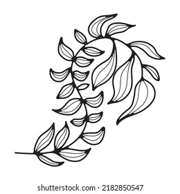 Simple floral clipart. Doodle vector