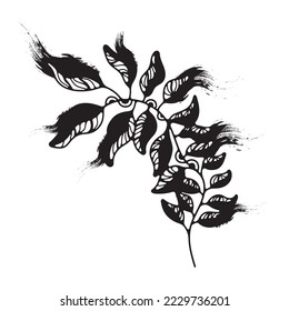 Simple clipart floral. Vector Doodle