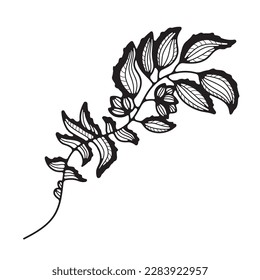 Simple clipart floral. Vector Doodle