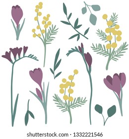 Simple floral collection. Spring or summer different flowers graphic design. Vector set with leaves, crocus, mimosa. Hand drawn flowers. Modern and original elements. Garden. Botany illustration