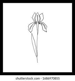 Simple floral continous line art. Minimalist botanical vector illustration. Great for invitation, greeting card, packages, wrapping, premade logo, business card, stationery, etc.