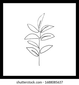 Simple floral continous line art. Minimalist botanical vector illustration. Great for invitation, greeting card, packages, wrapping, premade logo, business card, stationery, etc.