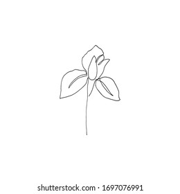 Simple floral continous line art. Minimalist botanical vector illustration. Great for invitation, greeting card, packages, wrapping, premade logo, business card, stationery, etc.
