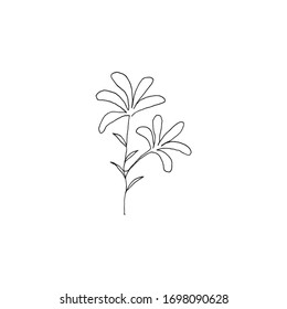 Simple floral continous line art. Minimalist botanical vector illustration. Great for invitation, greeting card, packages, wrapping, premade logo, business card, stationery, etc.