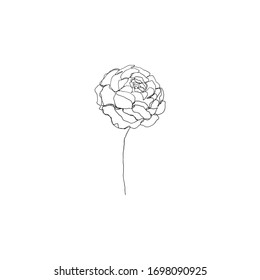 Sencilla línea continua floral. Ilustración botánica vectorial minimalista. Excelente para invitación, tarjeta de felicitación, paquetes, envoltura, logo prehecho, tarjeta de visita, papelería, etc.