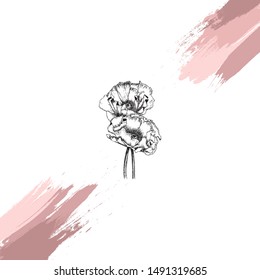 Simple floral drawing and sketch with line-art with brush stroke on background. Outline style vector design for textile, fabrics, wallpaper, packaging, decoration, etc.