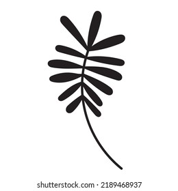 Simple floral hand drawn vector illustration. Branches with leaves. Black silhouette on a white background. Elements for design, decoration, pattern making.