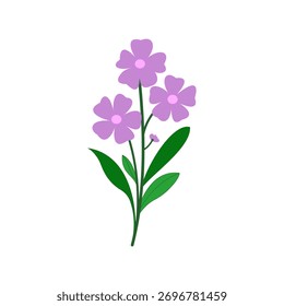 Ilustración floral simple con tres flores púrpuras estilizadas con hojas verdes sobre un fondo blanco. Diseño limpio y minimalista ideal para primavera, naturaleza y temas botánicos.