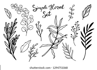 Simple floral set. Collection of hand drawn vector branches with leaves and berries. Modern sketch collection. Decorative elements for design. Ink, vintage vector.