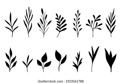 Simple floral vector drawing. Set of twigs, leaves, herbs, branch. Black silhouette on a white background. For spring summer design, decoration, pattern making.