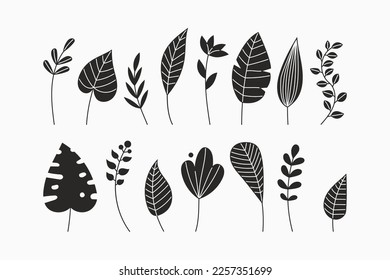 Simple floral vector drawing. Set of twigs, leaves, herbs, branch. Black silhouette on a white background. For spring summer design, decoration, pattern making.