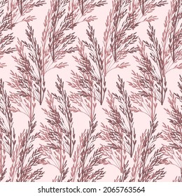 Simple vector floral patrón sin fisuras en tonos lilos. Pampas hierba, inflorescencias secas sobre un fondo rosa claro. Para impresiones sobre tejidos, textiles, papel pintado, estilo boho.