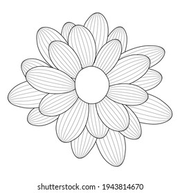 simple flower chamomile drawn by lines. Vector Illustration. EPS10