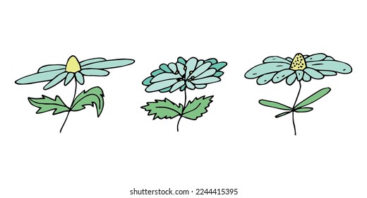 Simple flower clipart. Set of hand drawn floral doodle. For print, web, design, decor, logo