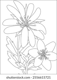 Simple flower coloring page for adults