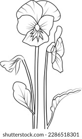 simple flower coloring pages, Coloring pages for adults, hand drawing flower sketch art of pansy, blossom violet flower line art vector illustration, floral garden for beautiful cute easy flower art.