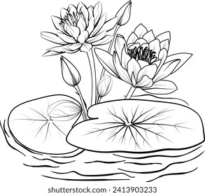 simple flower coloring pages, Coloring pages for adults, hand drawing flower sketch art of waterlily, blossom violet flower line art vector illustration, floral garden for beautiful cute easy flower