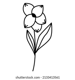 simple flower design for logo