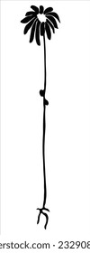 simple flower drawing with leaves and roots
