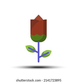 Icono de flor plana simple, concepto relacionado con flor y rosa en el fondo blanco