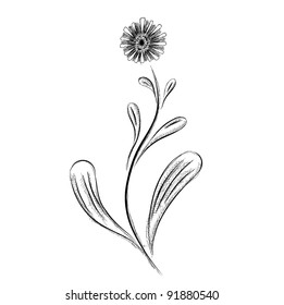 simple flower isolated on the white
