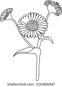 Diseño de líneas de flores simples