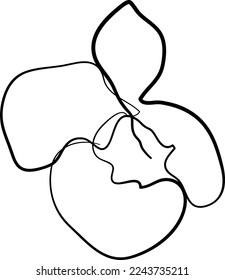 Simple Flower one-line art drawing style beautiful illustration minimal design