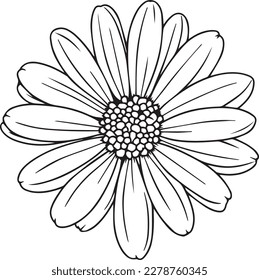 Simple flower vector. Hand drawing flower vector.