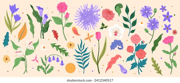 Simple flowers. Floral elements. Tropic leaves. Tulip bud. Chrysanthemum and peony. Vintage pattern daisy. Iris or calla stem. Fern twigs. Blooming blossoms. Vector minimal garden botanical plants set