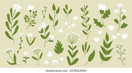 Simple flowers with green leaves and white blooms abstract botanical design element art set. Aesthetic flourish decorative arrangement, elegant springtime ornate collection vector illustration