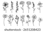 Simple Flowers Line Drawing Set. Abstract Flower Minimalist Contour Drawing. Hand Drawn Flowers Black Sketch Doodles Isolated on White Background. Vector Illustration. Not AI