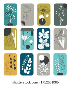 Simple flowers on trendy bright colorful backdrop. Outlined plants and geometric shapes together. Set of 12 templates. Vector. Print and decoration stamps. Cards for web. Isolated elements.