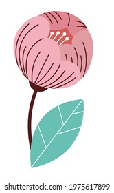 Simple flowers and plants. Calm color