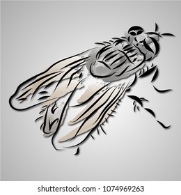 Simple Fly Black Stroke Insect Illustration