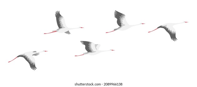 Simple  flying stork flock. Bird flight vector, flat illustration.