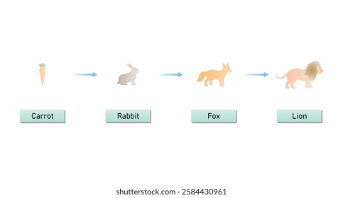 Simple Food Chain include Carrot, Rabbit, Fox and Lion Science Design. Vector Illustration.