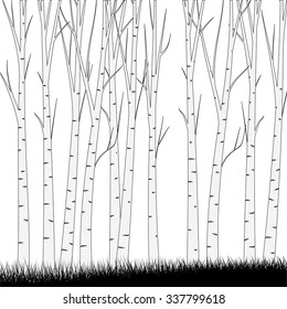 Simple Forest Background    - vector illustration
