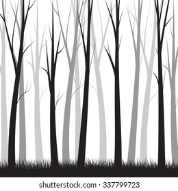 Simple Forest Background    - vector illustration